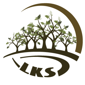 Ruijin Six Trees E-Commerce Co., Ltd.