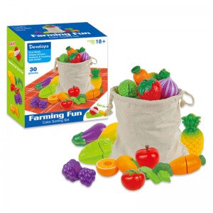 Toddler Color Sorting Learning Kitchen Realistic Play Foods 30pcs Portable Cutting Fruit and Vegetable Toys Set with Storage Bag