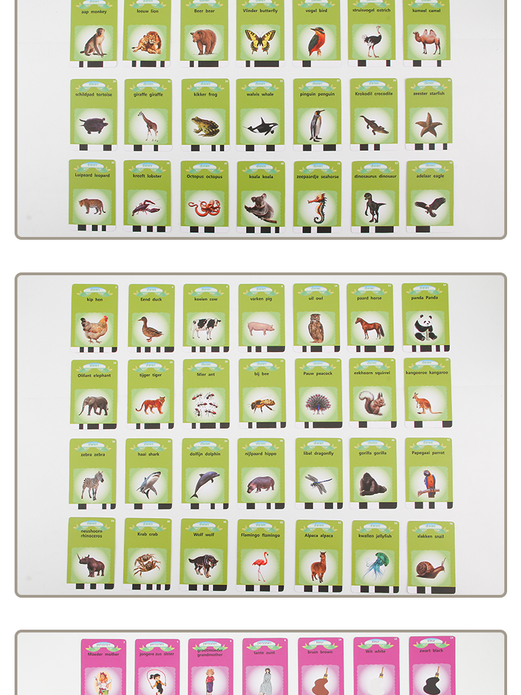 Dutch-English talking flash cards (4)
