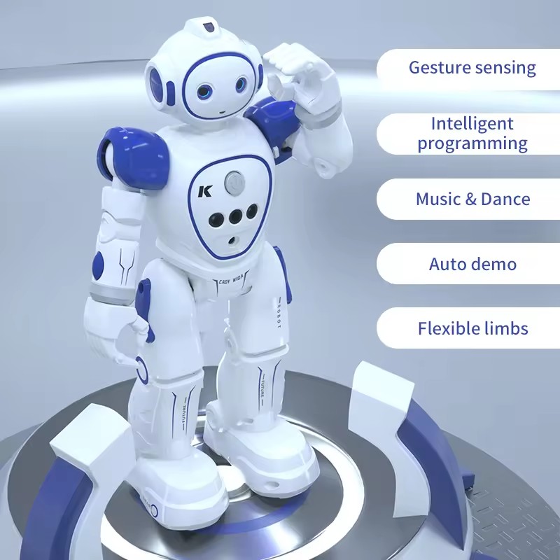 Robot Toys: The Evolution of Playtime and Learning