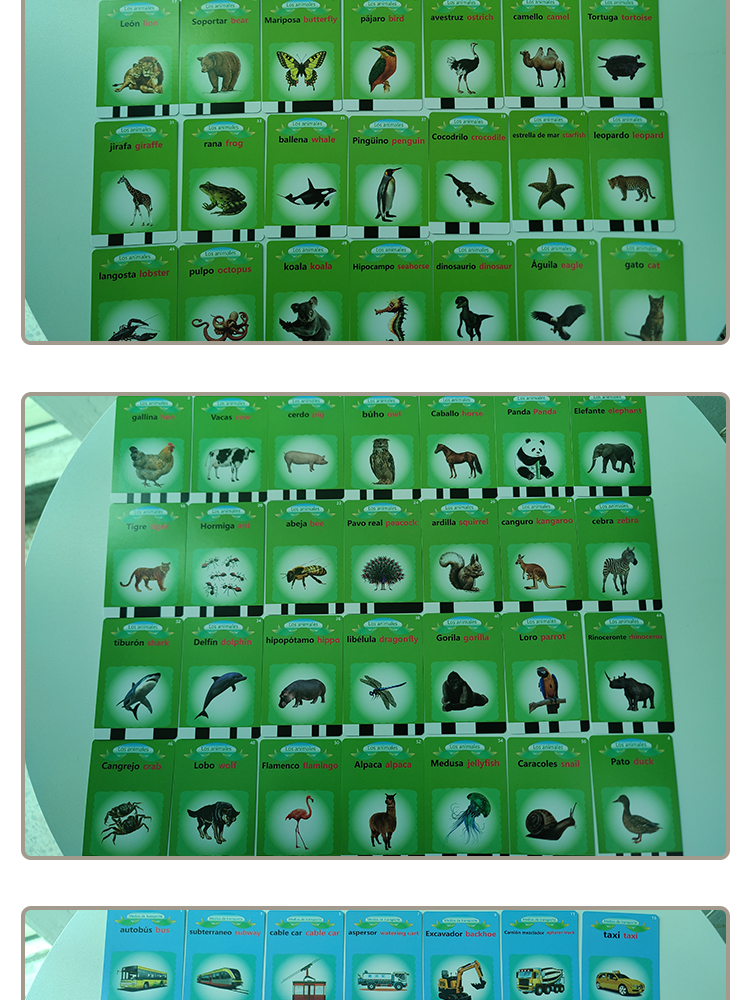 Spanish-Engligsh talking flash cards (4)